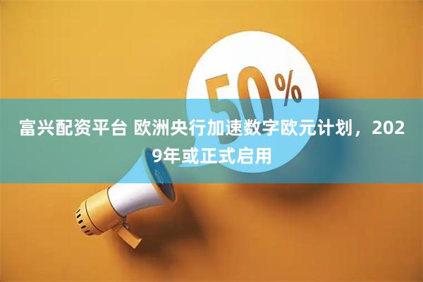 富兴配资平台 欧洲央行加速数字欧元计划，2029年或正式启用