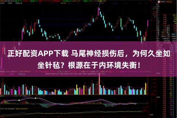 正好配资APP下载 马尾神经损伤后，为何久坐如坐针毡？根源在于内环境失衡！