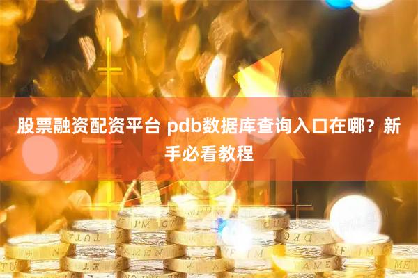 股票融资配资平台 pdb数据库查询入口在哪？新手必看教程